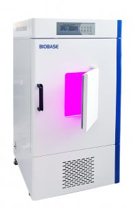 Lighting Incubator